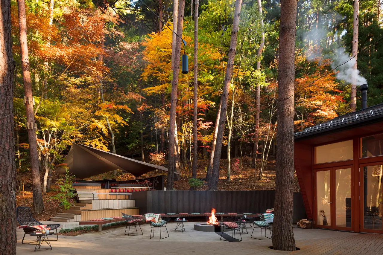 The Cloud Terrace in autumn colour: tiered decks, a fire pit and the Library Cafe among the pines