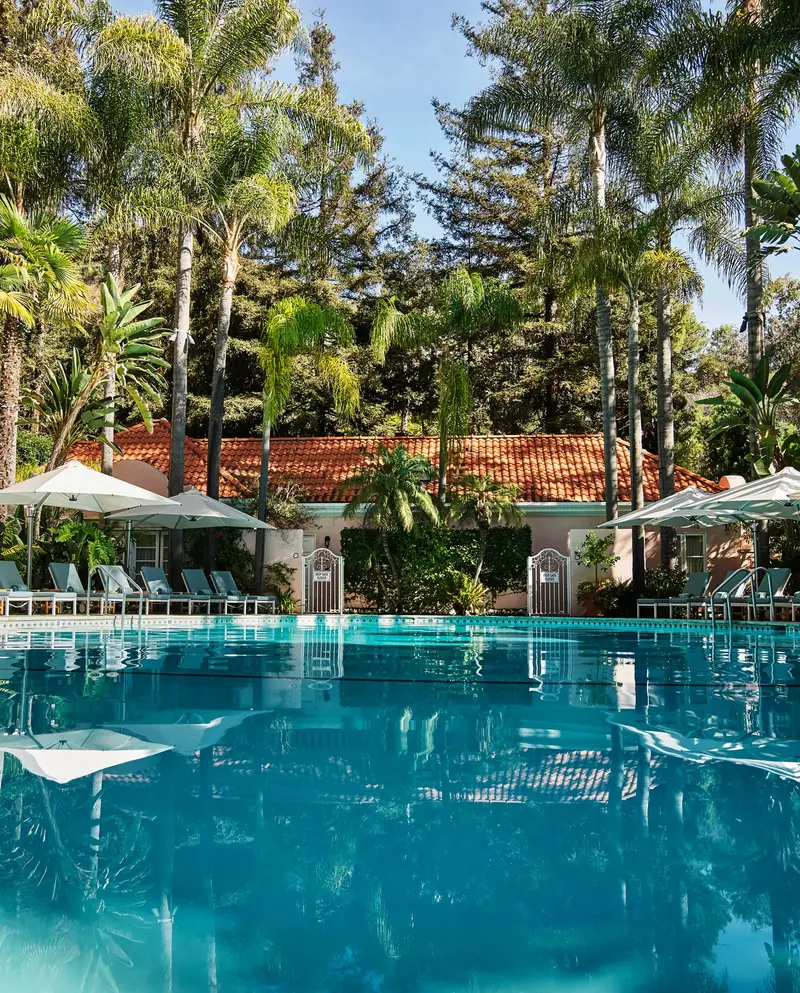 The oval pool among palms, white umbrellas and loungers