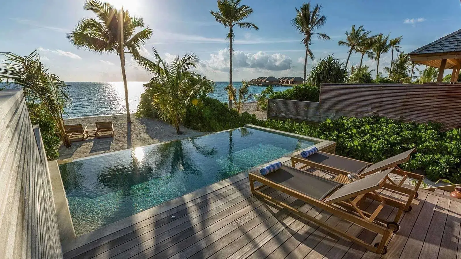 A Beach Sunset Pool Villa’s infinity pool among the palms