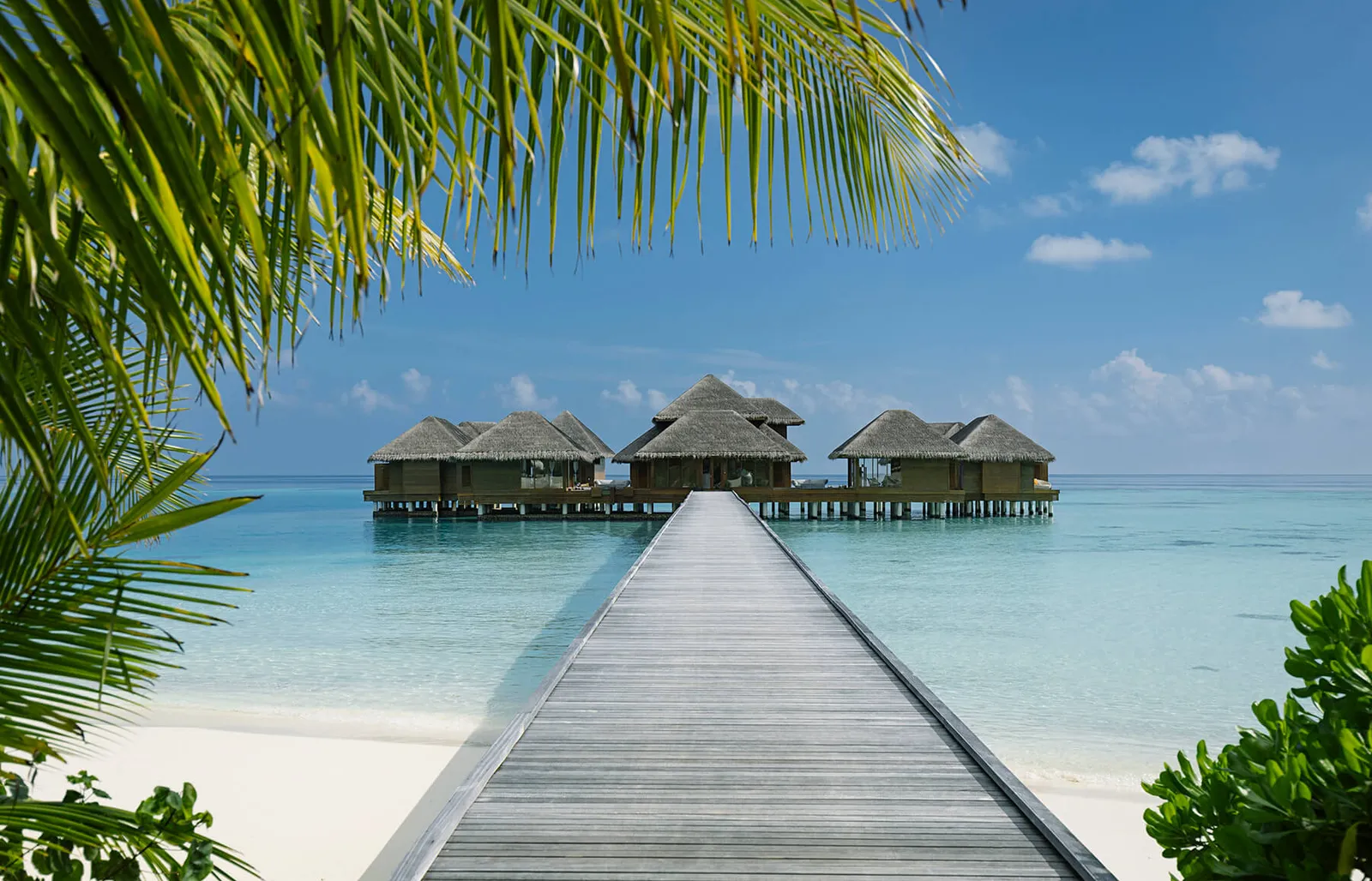 The timber jetty out to the spa’s overwater pavilions, between the palms