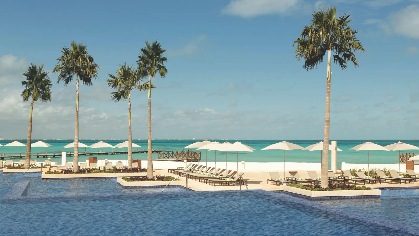 Infinity pool with palms and sea beyond