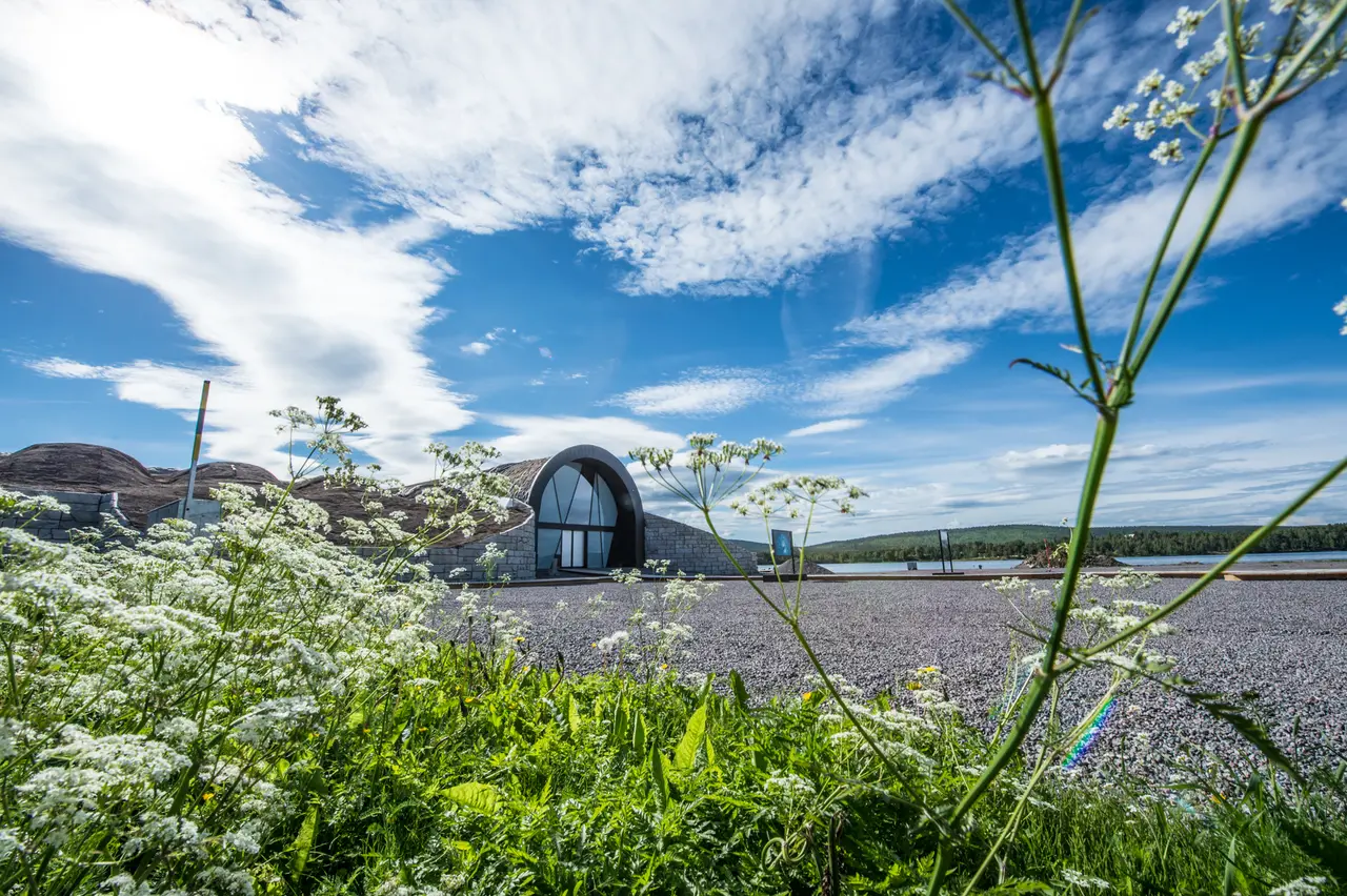 ICEHOTEL 365 in summer: its arched entrance and turf roof seen from a bank of white wildflowers across a gravel yard, the Torne River behind.