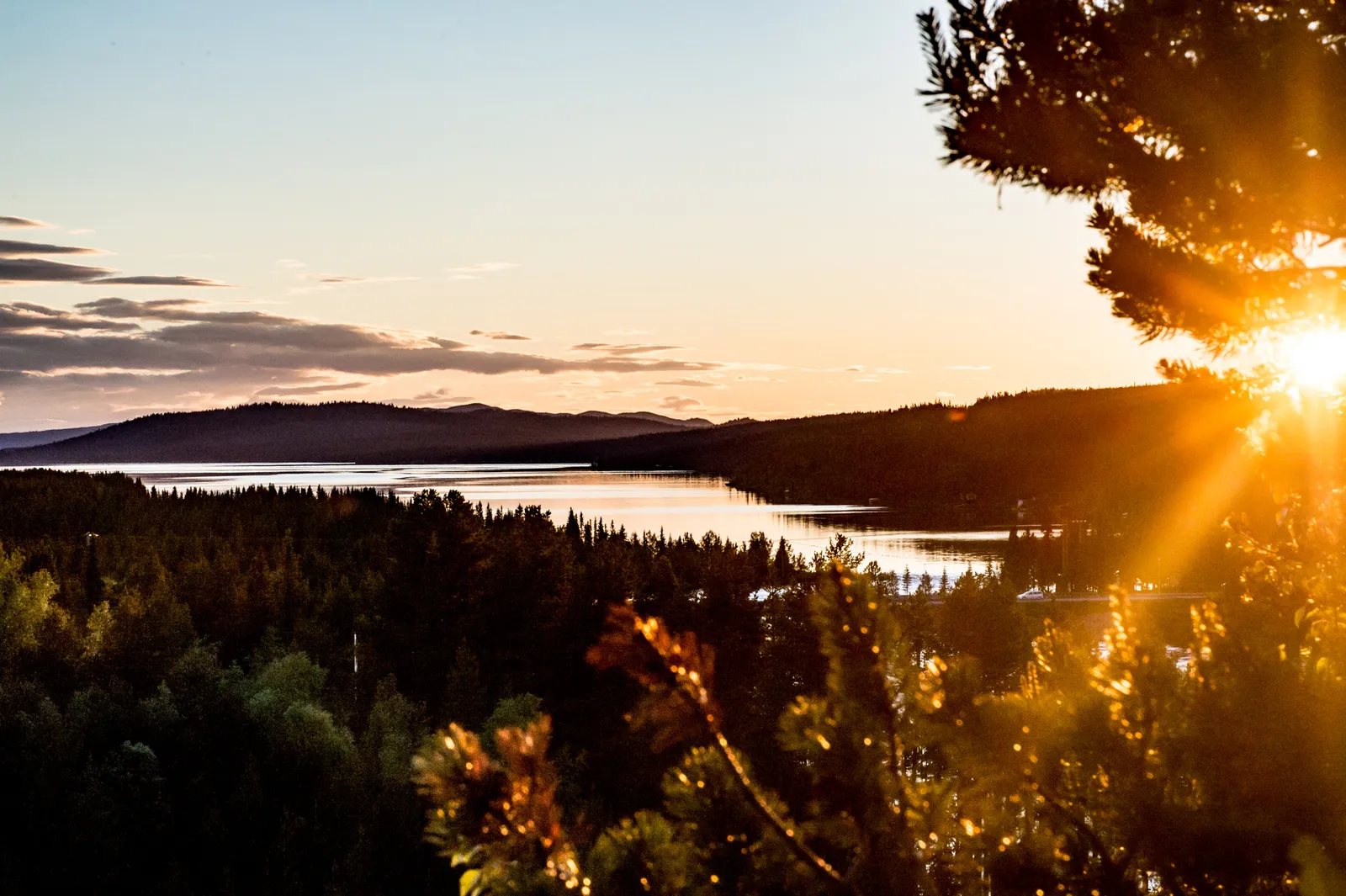 The sun low over forested hills and the Torne River in summer, seen from a hillside through the branches of a pine.