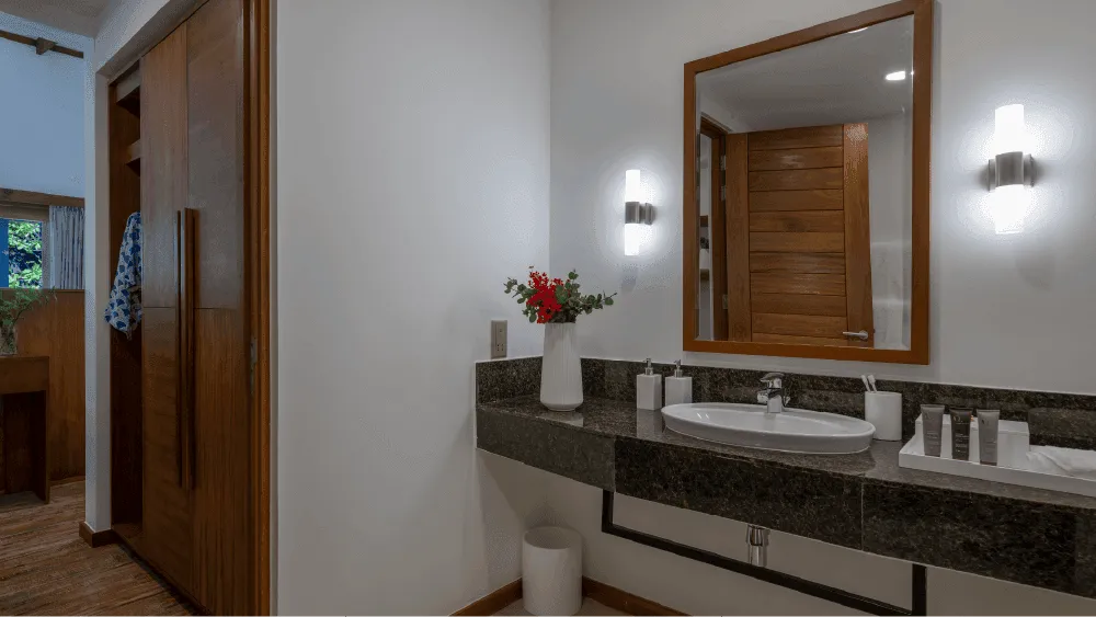 The bathroom basin and mirror.