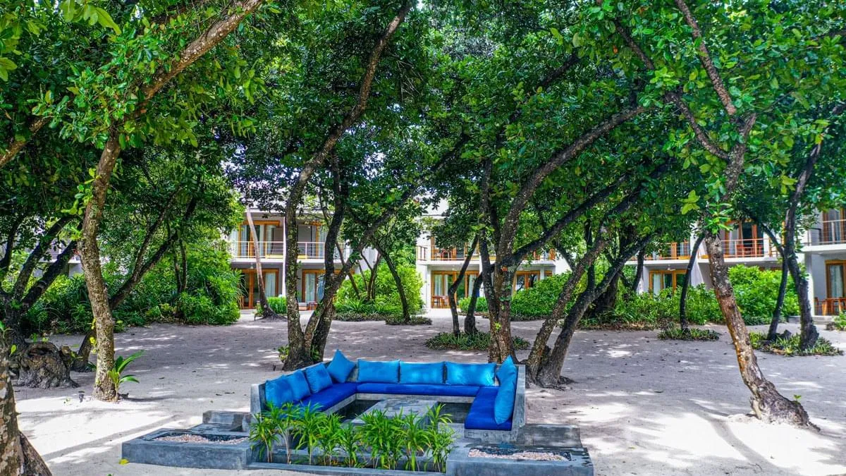 The outdoor seating area among the trees, shown for the 20 Bedroom Island Reserve.