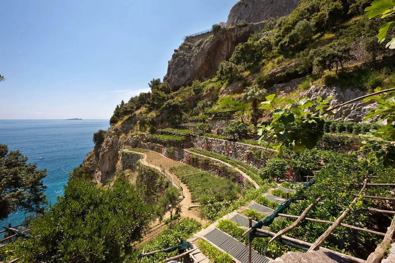 The terraced kitchen gardens stepping down the cliff to the sea, with earth paths between the rows of vegetables.