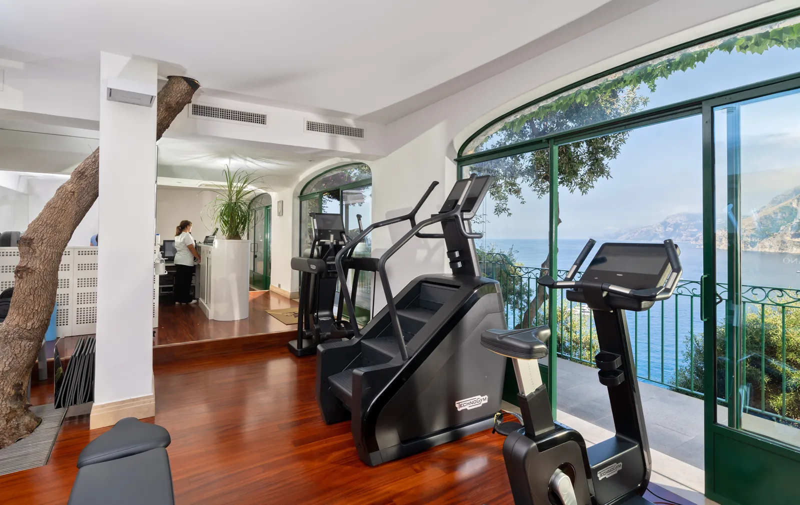 The gym, with the machines before arched windows onto the sea and a tree trunk rising through the room.