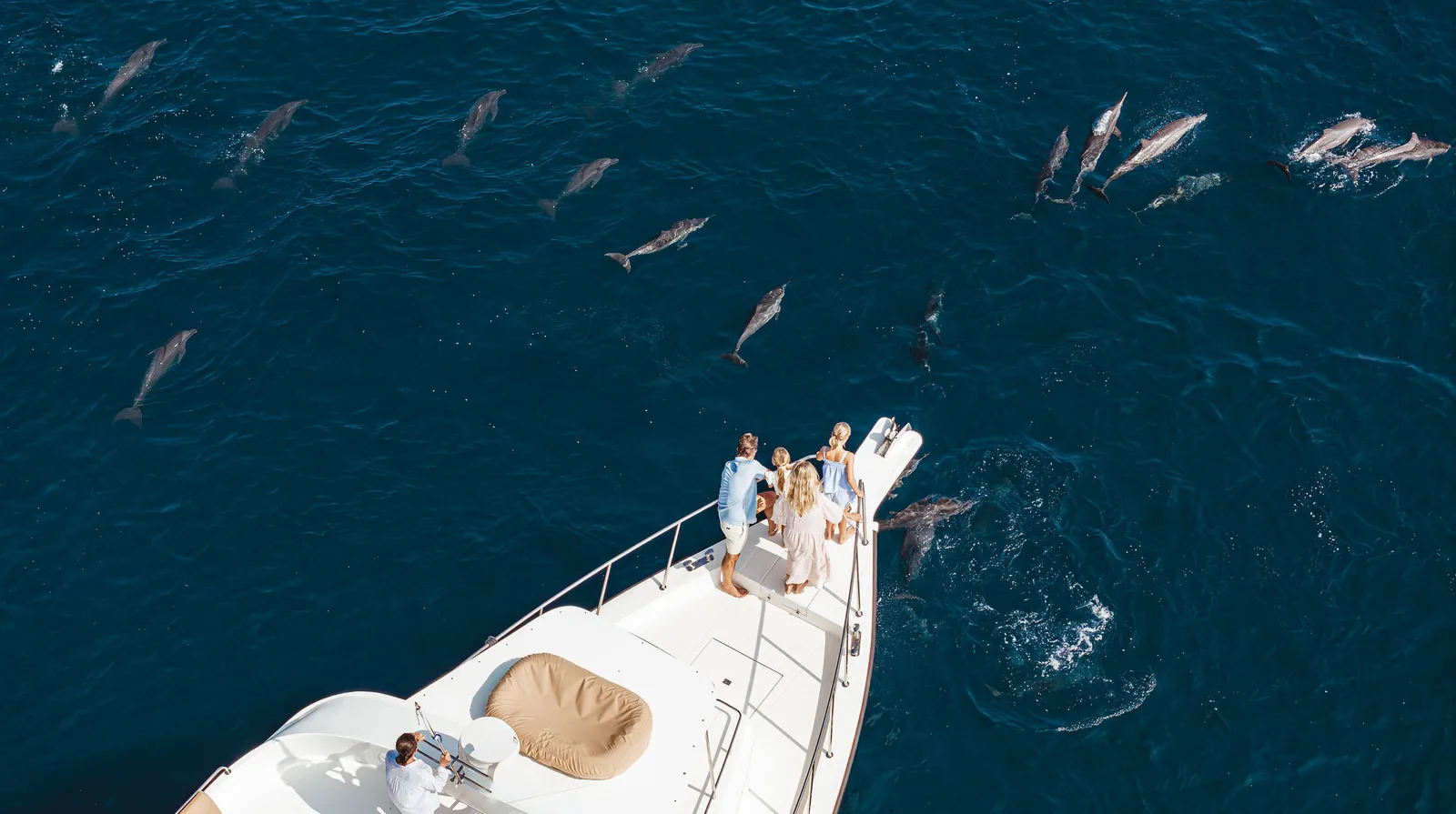 From above: a yacht’s bow with guests and a pod of dolphins swimming alongside.