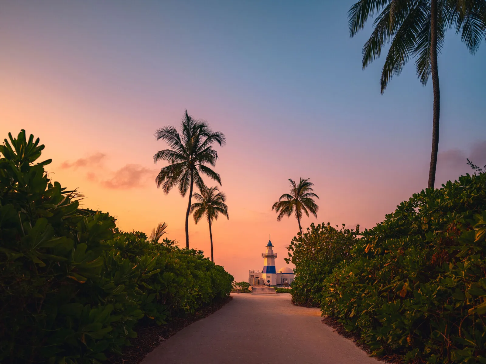 The sandy path between palms and shrubs leading to the white and blue lighthouse at dusk.