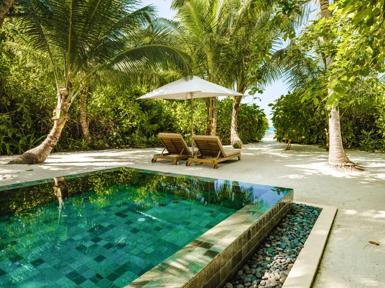 A One Bedroom Sunset Beach Pool Villa’s pool, 2 loungers and a parasol on the sand under the palms.