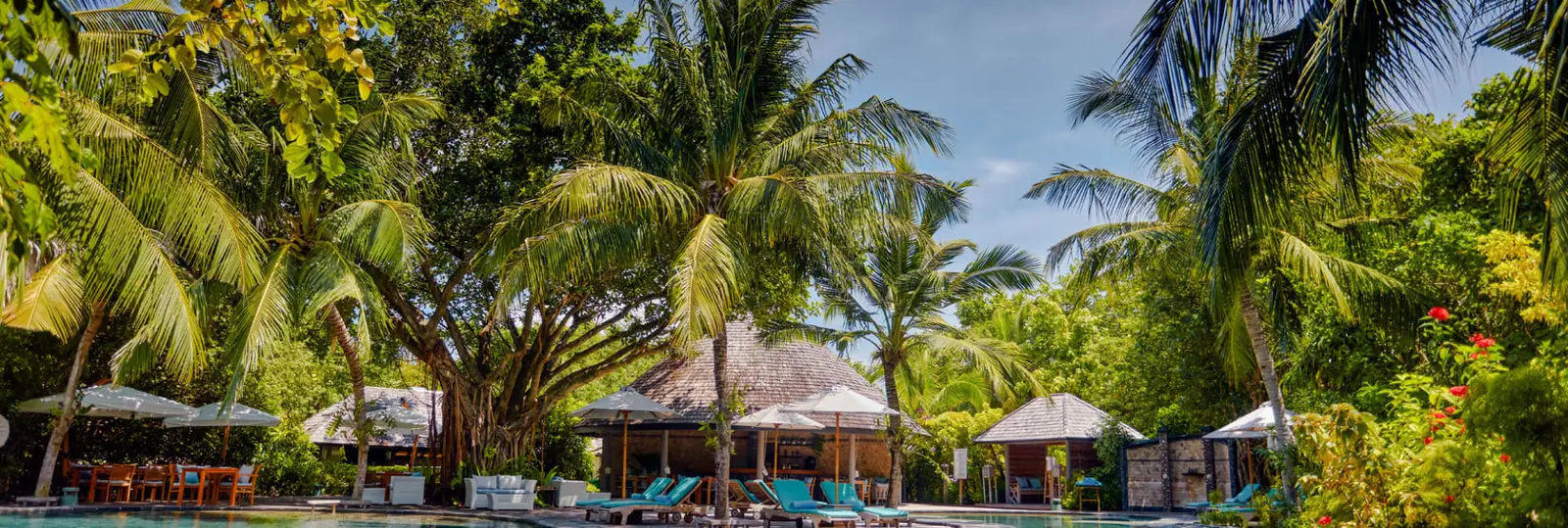 Palms, loungers and parasols beside Andiamo’s pool.