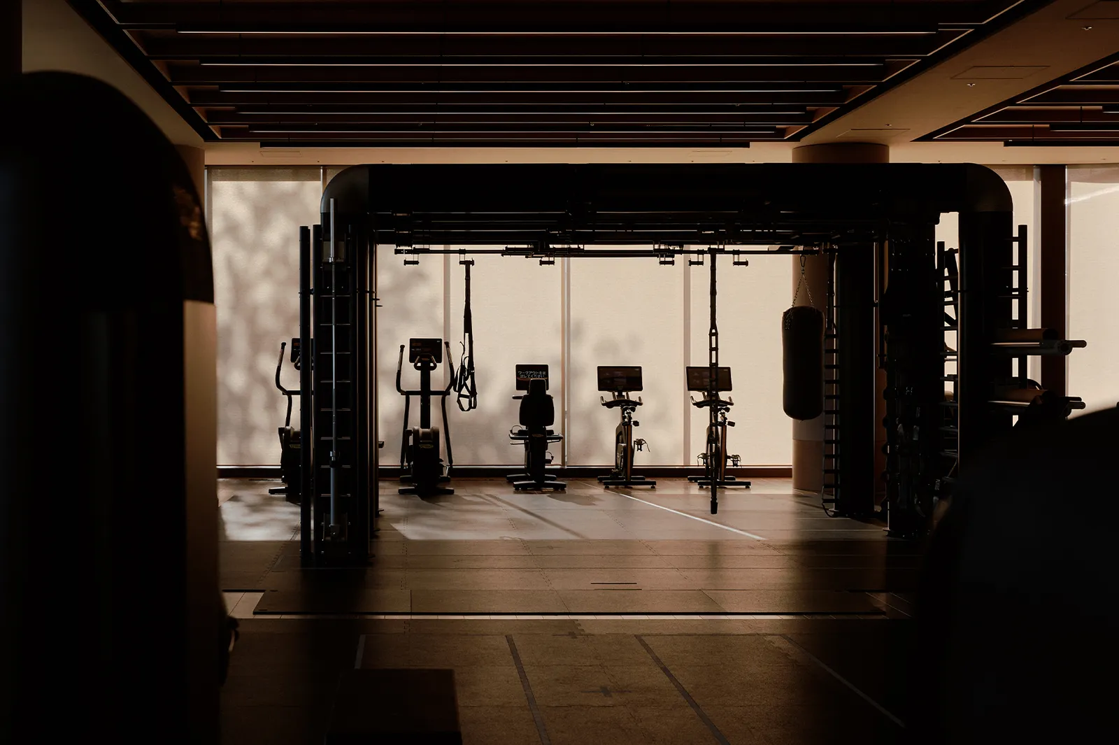 The gym against the light: the machines and racks in front of the windows, under the dark ceiling.