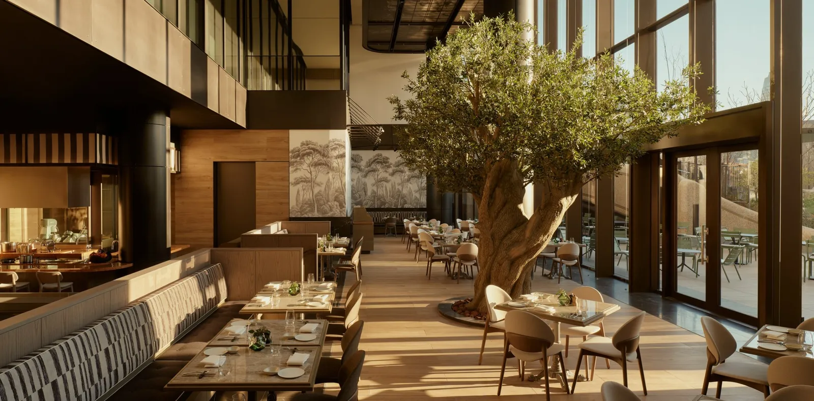 Janu Mercato’s dining room: laid tables, an olive tree in the middle and the windows open onto the terrace.
