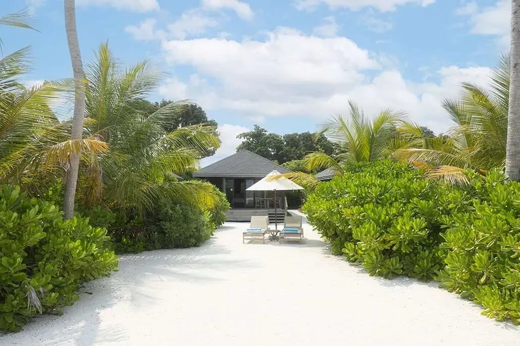 The sandy path through the greenery to a Beach Villa and the beach