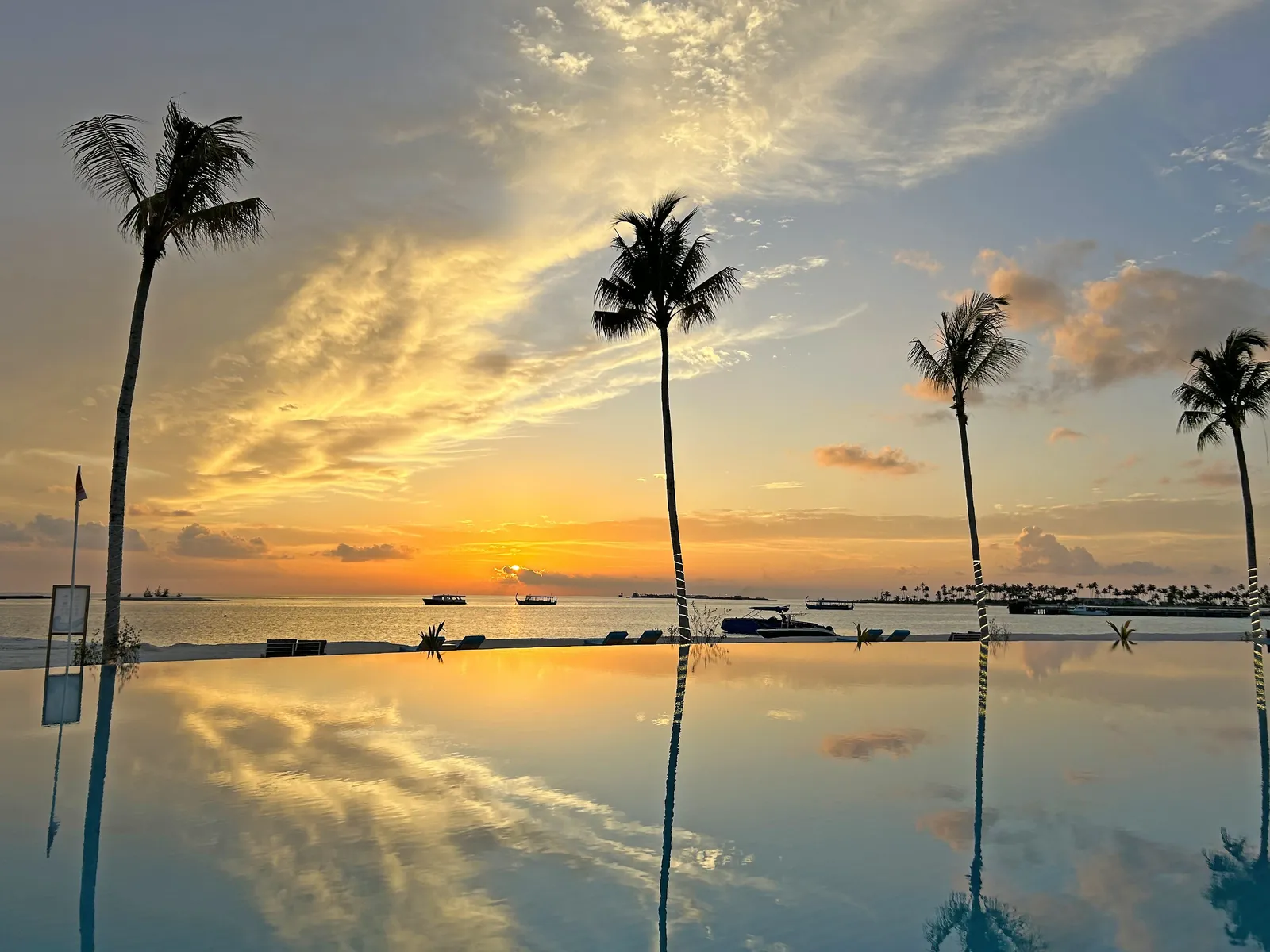 The infinity pool reflecting the palms and the sunset sky