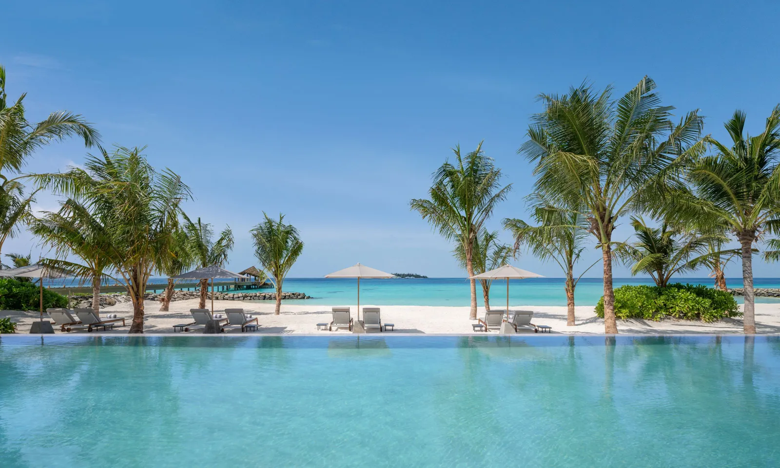 The main pool among the palms, the beach and the sea behind
