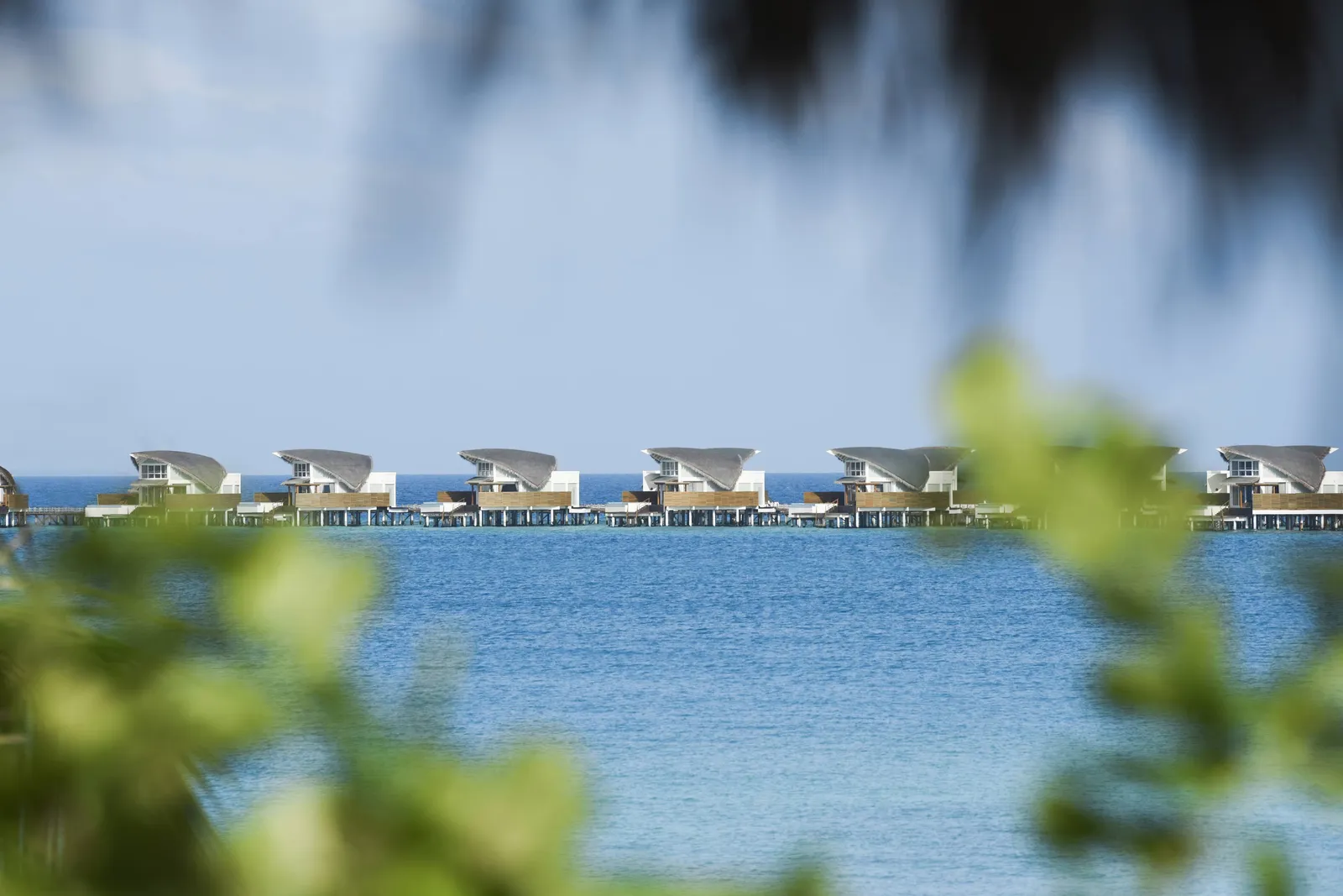 The overwater villas in a row on the horizon, beyond leaves in the foreground
