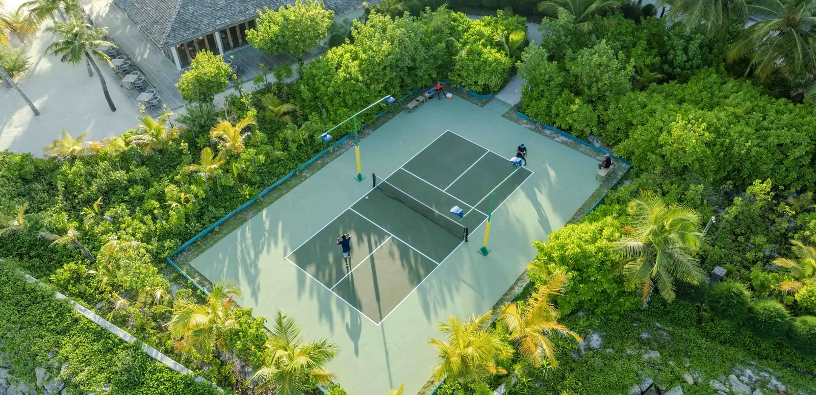The pickleball court among the trees, seen from above