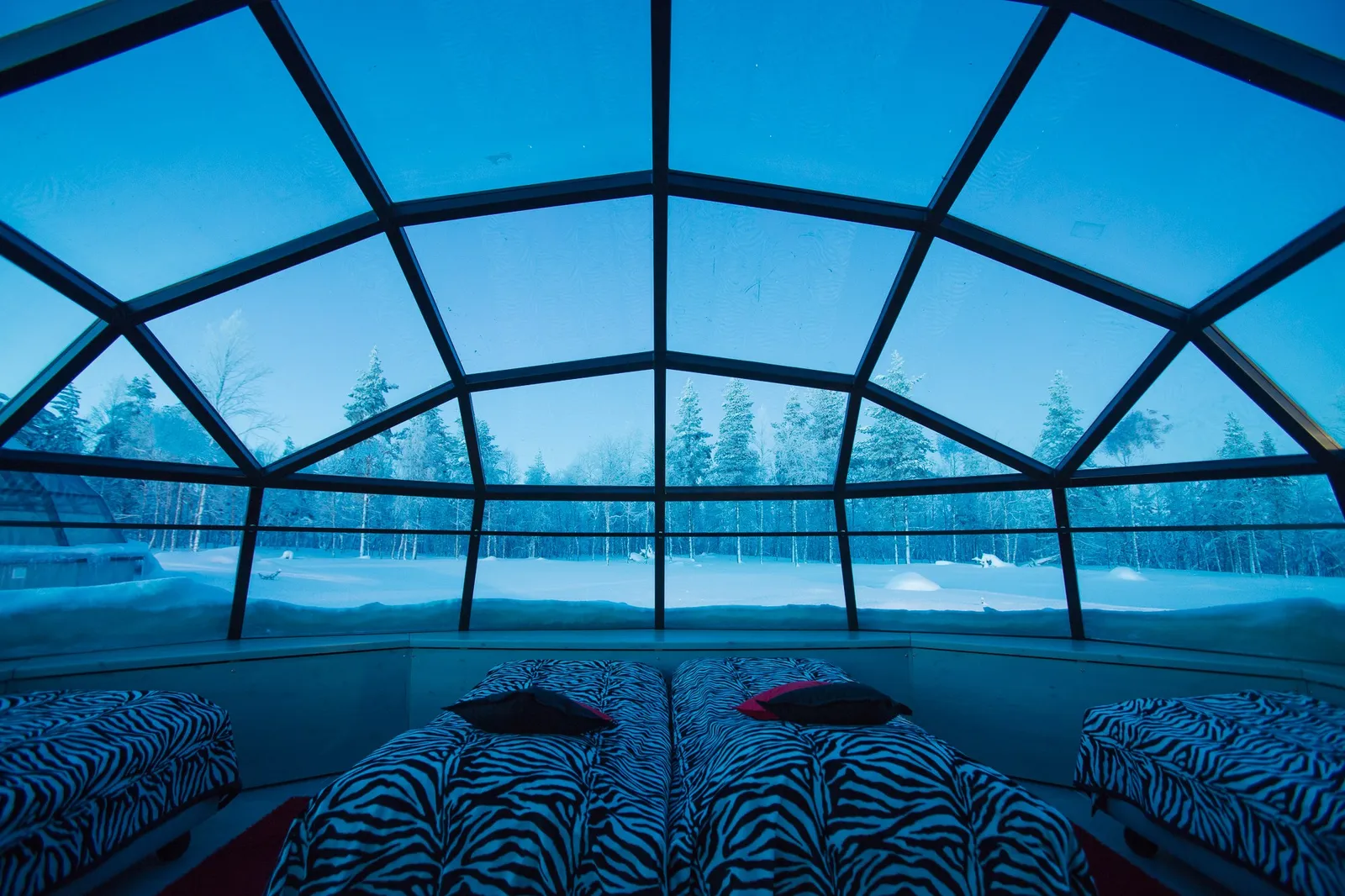 A Large Glass Igloo at dusk: beds with zebra-print covers under the glass dome, snow and trees outside.