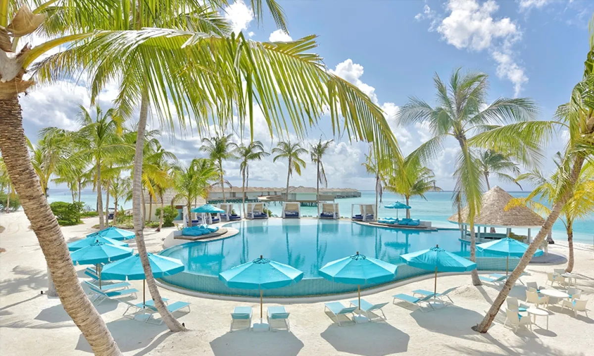 The Beach Club pool with its cabanas and palms