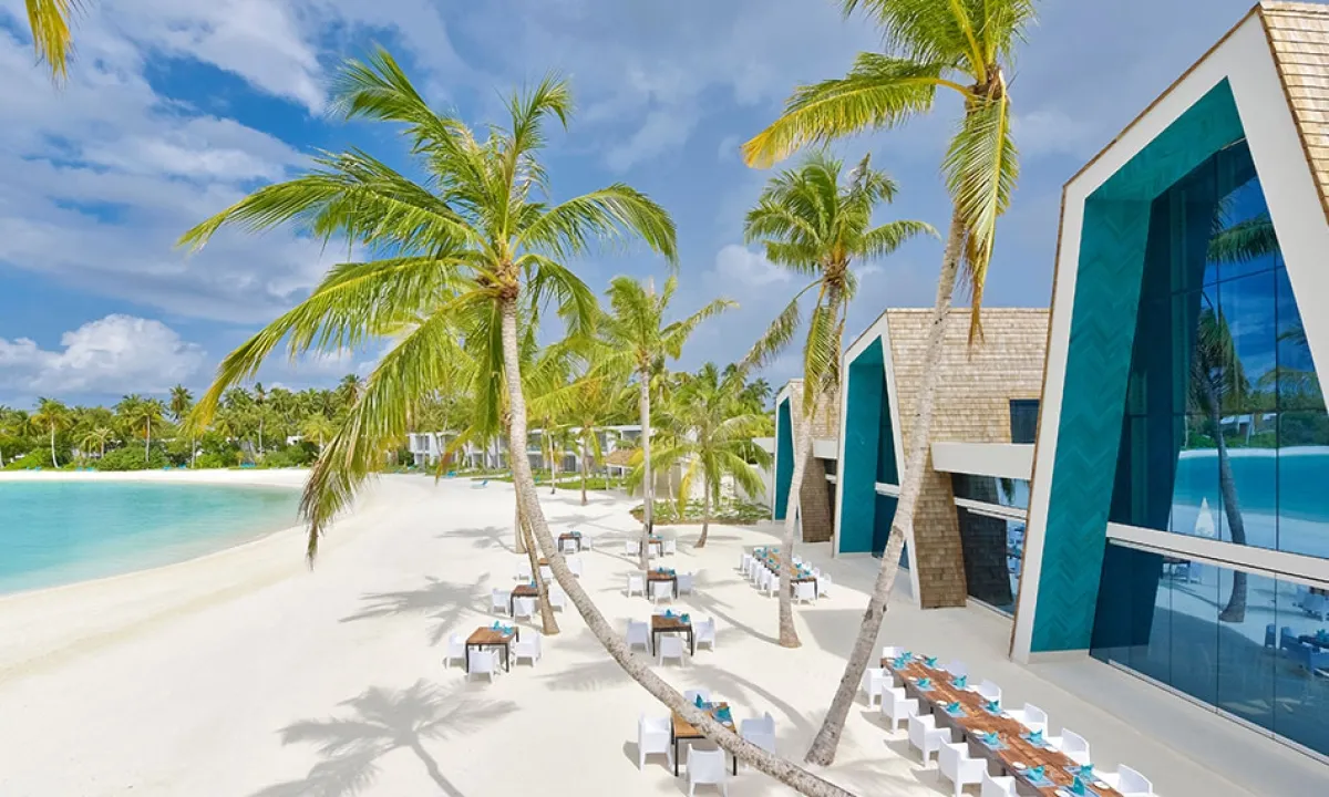 Smoked among the palms, the beach villas beside it