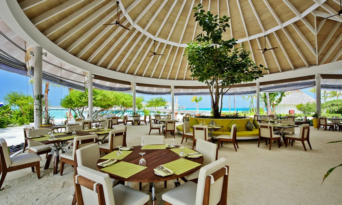 Zest’s dining room, its timber roof and tables facing the sea