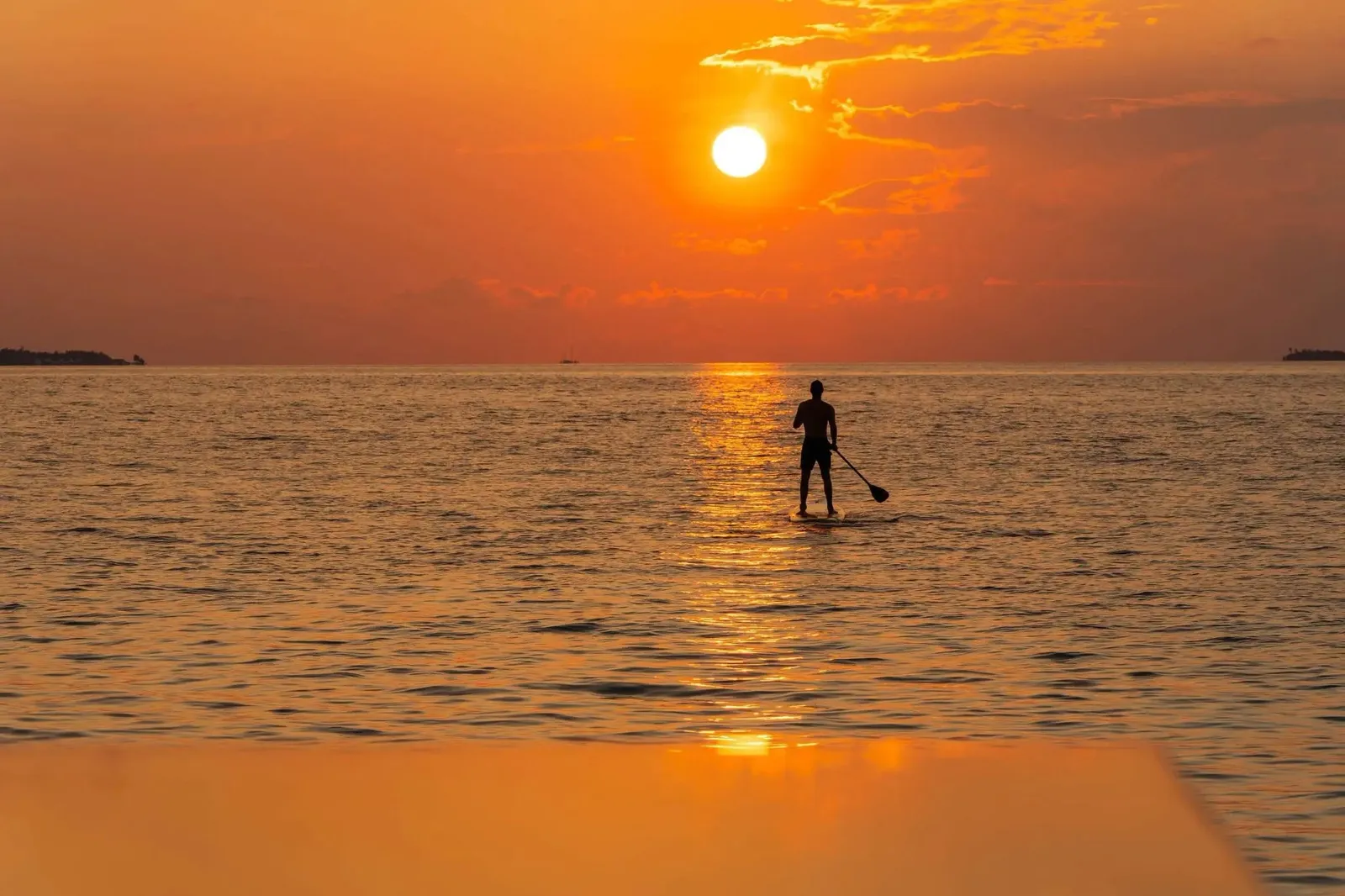 A paddleboarder standing against the setting sun