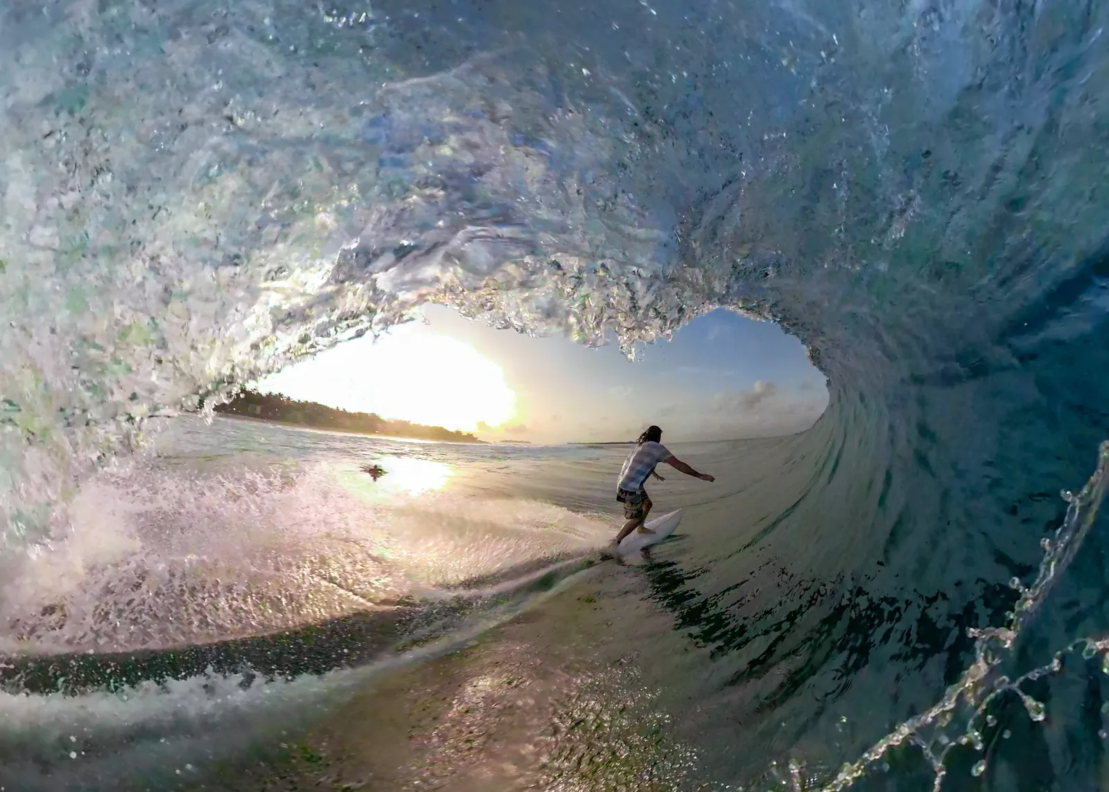A surfer inside the barrel of a wave, shot from the water, with the shore and the palms beyond.