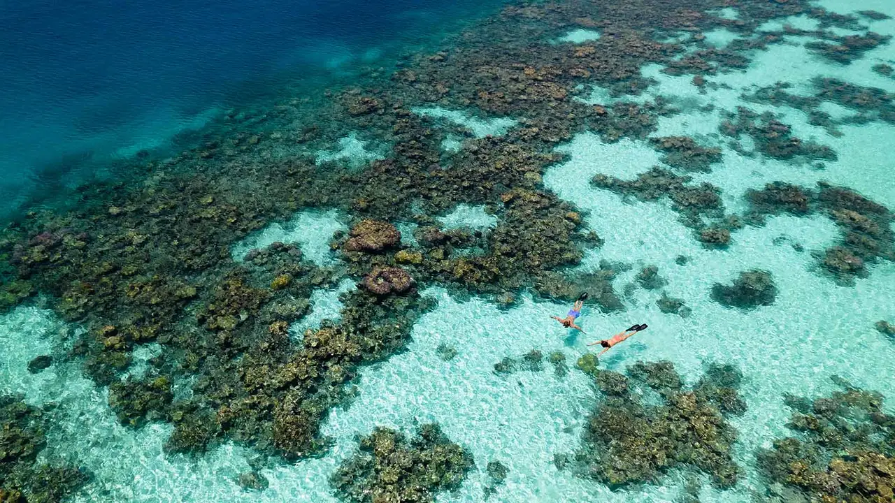 2 people snorkelling over the coral heads of the reef, seen from above in clear water.