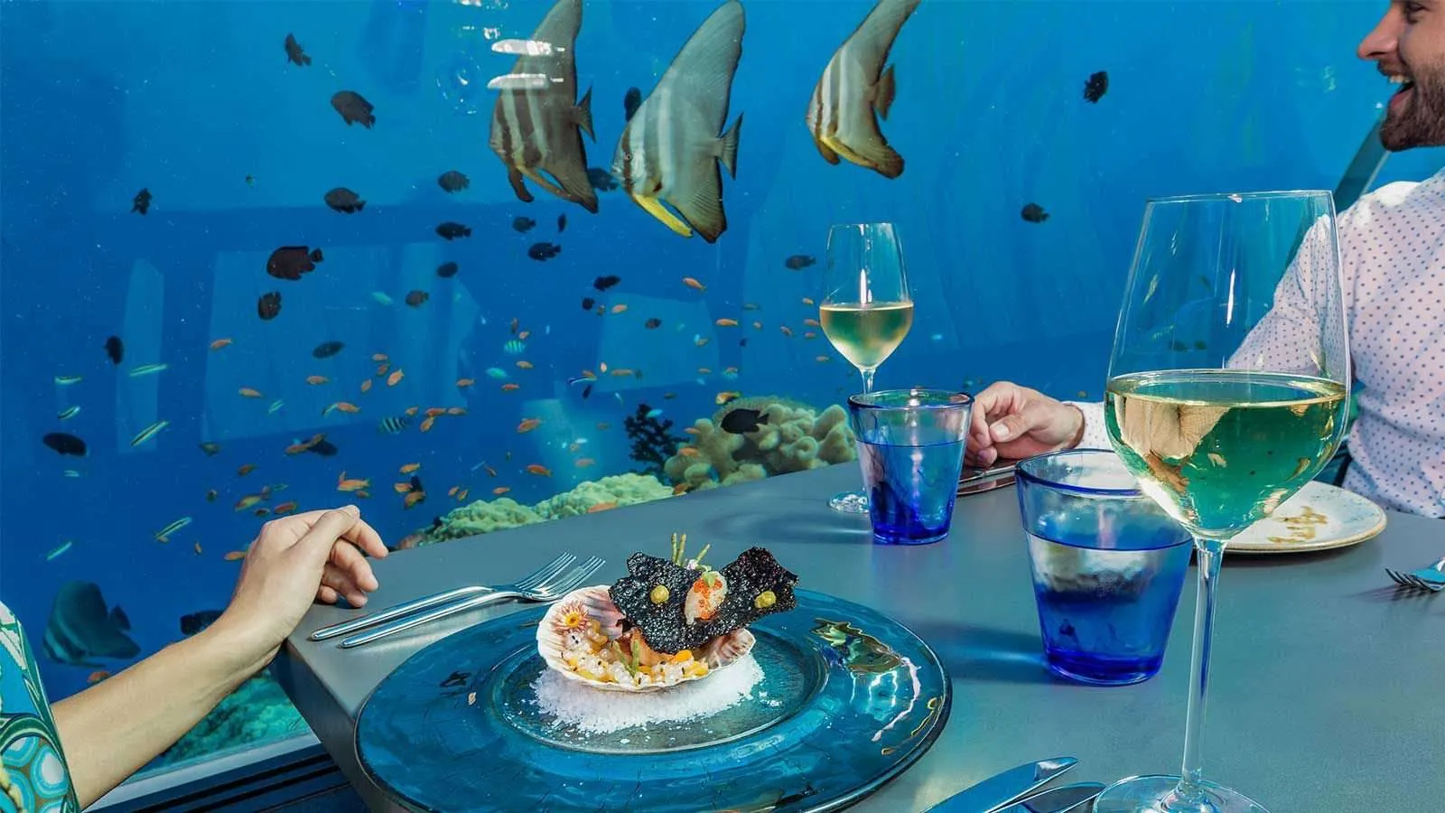 Lunch at 5.8 Undersea: the plate, the glasses and the fish beyond the glass