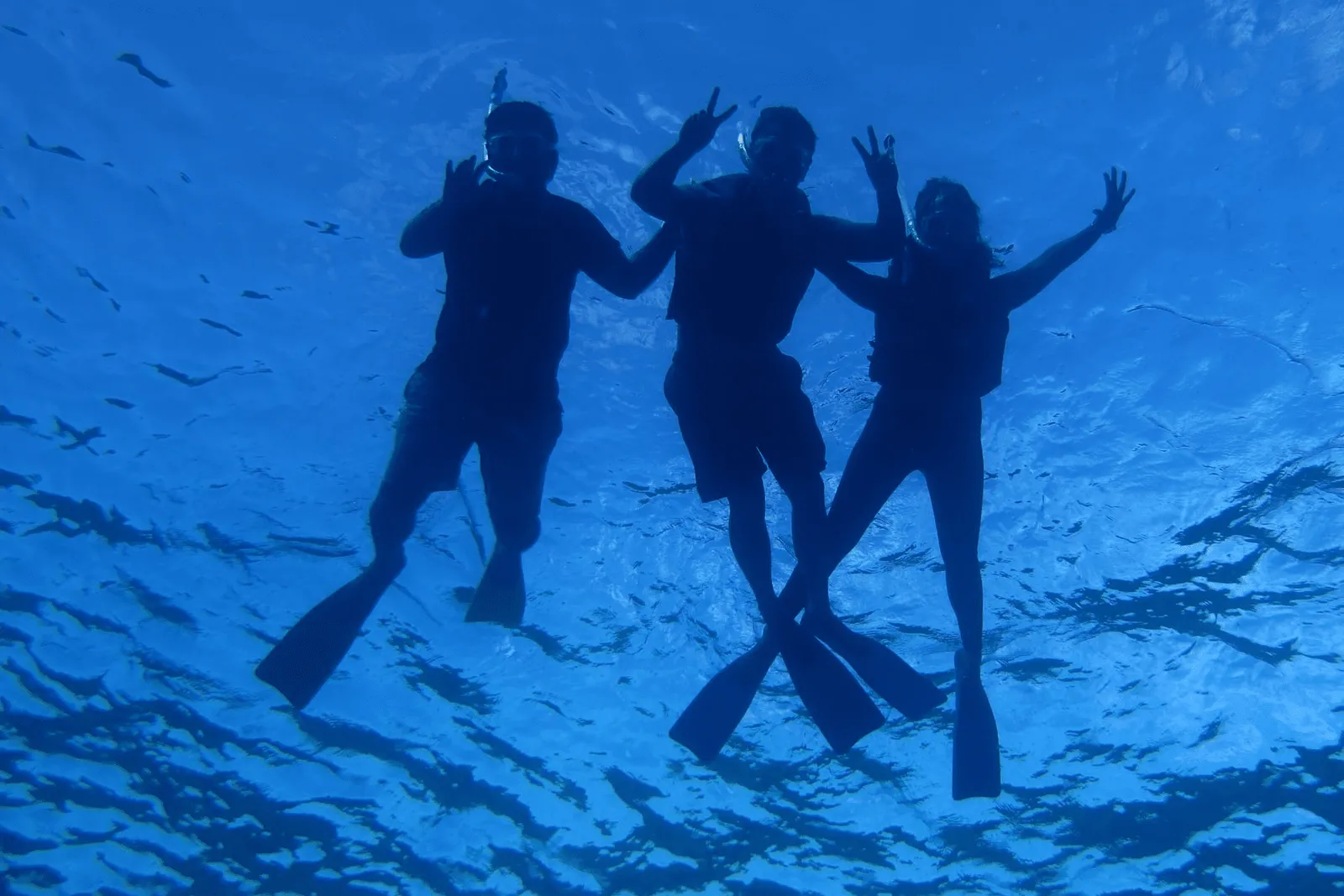 3 snorkellers seen from below, silhouetted against the blue of the water.