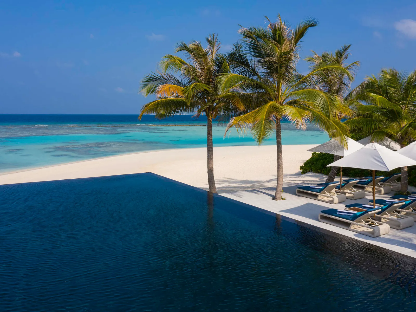 The infinity pool on the beach, between the palms and the sea