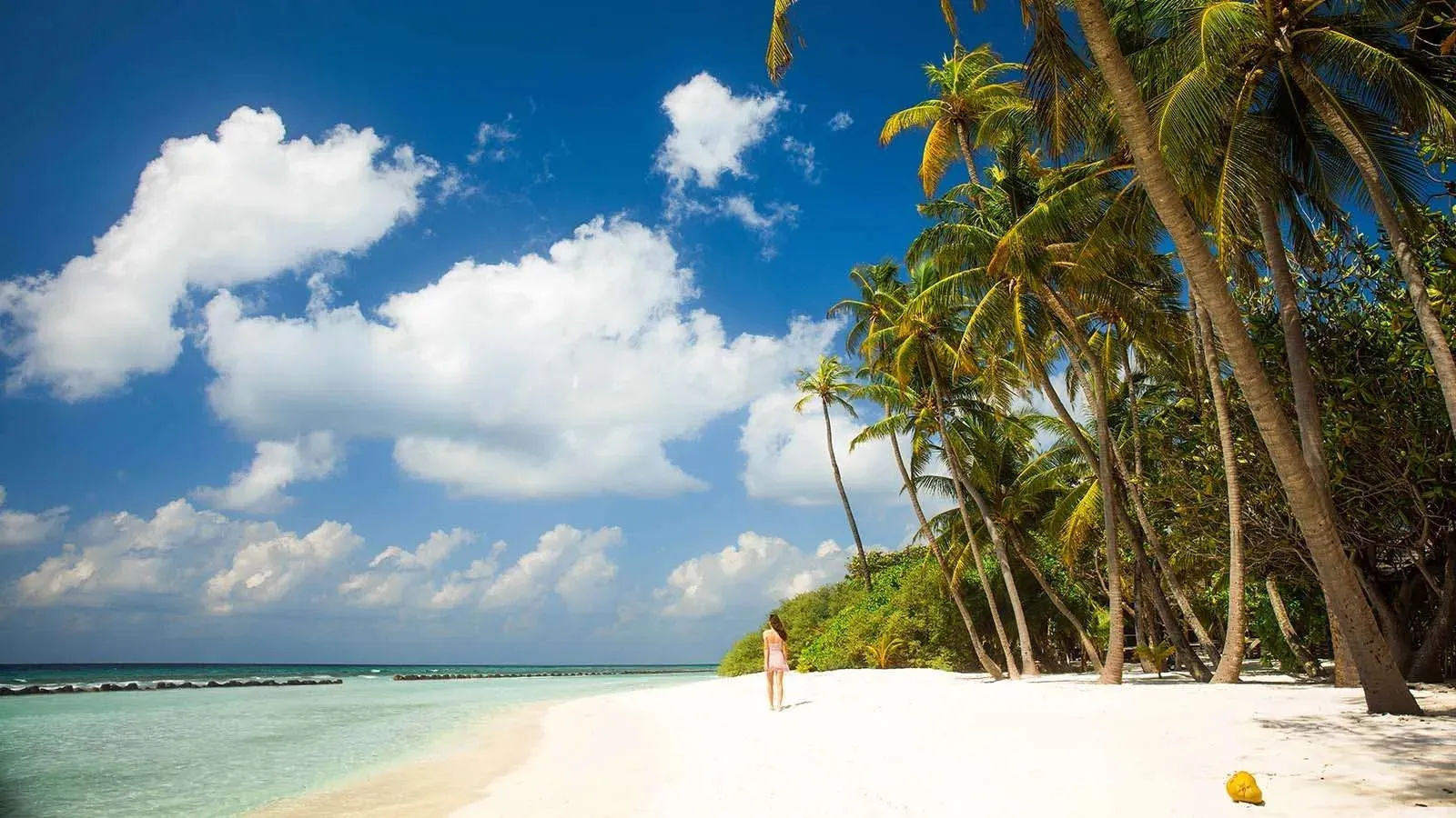 Kuredu’s white beach, palms and lagoon