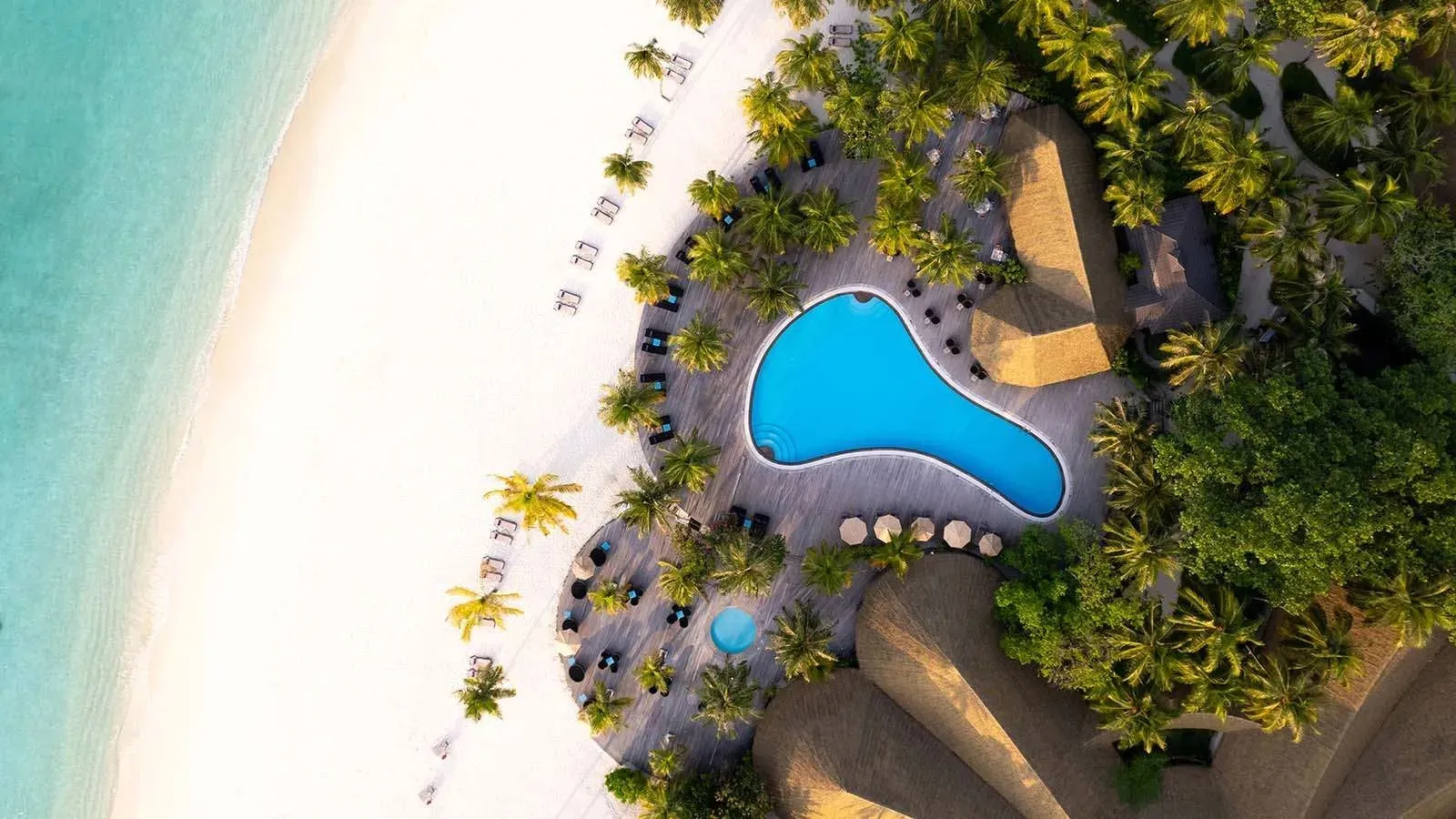 The curving main pool from above