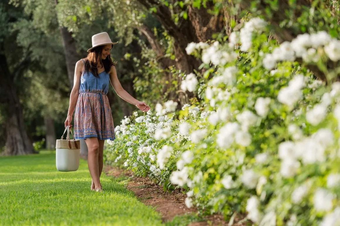 A walk among the garden’s white flowers