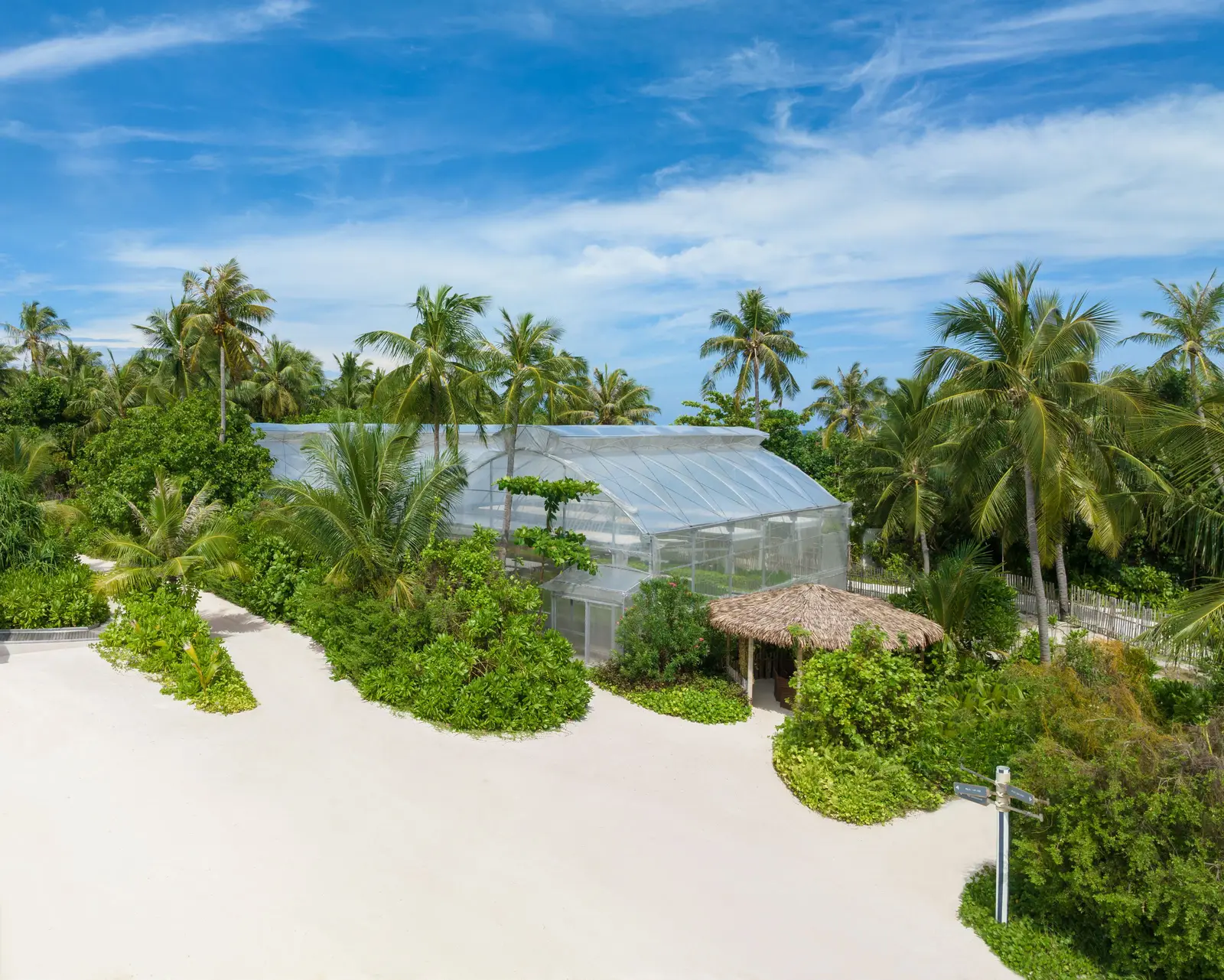 The hydroponic greenhouse among the palms, behind the beach