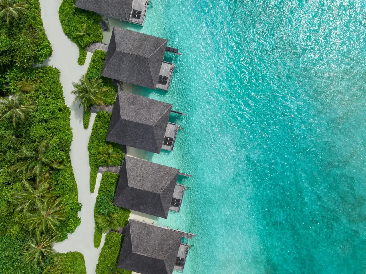 The Lagoon Villas from above, side by side along the shore