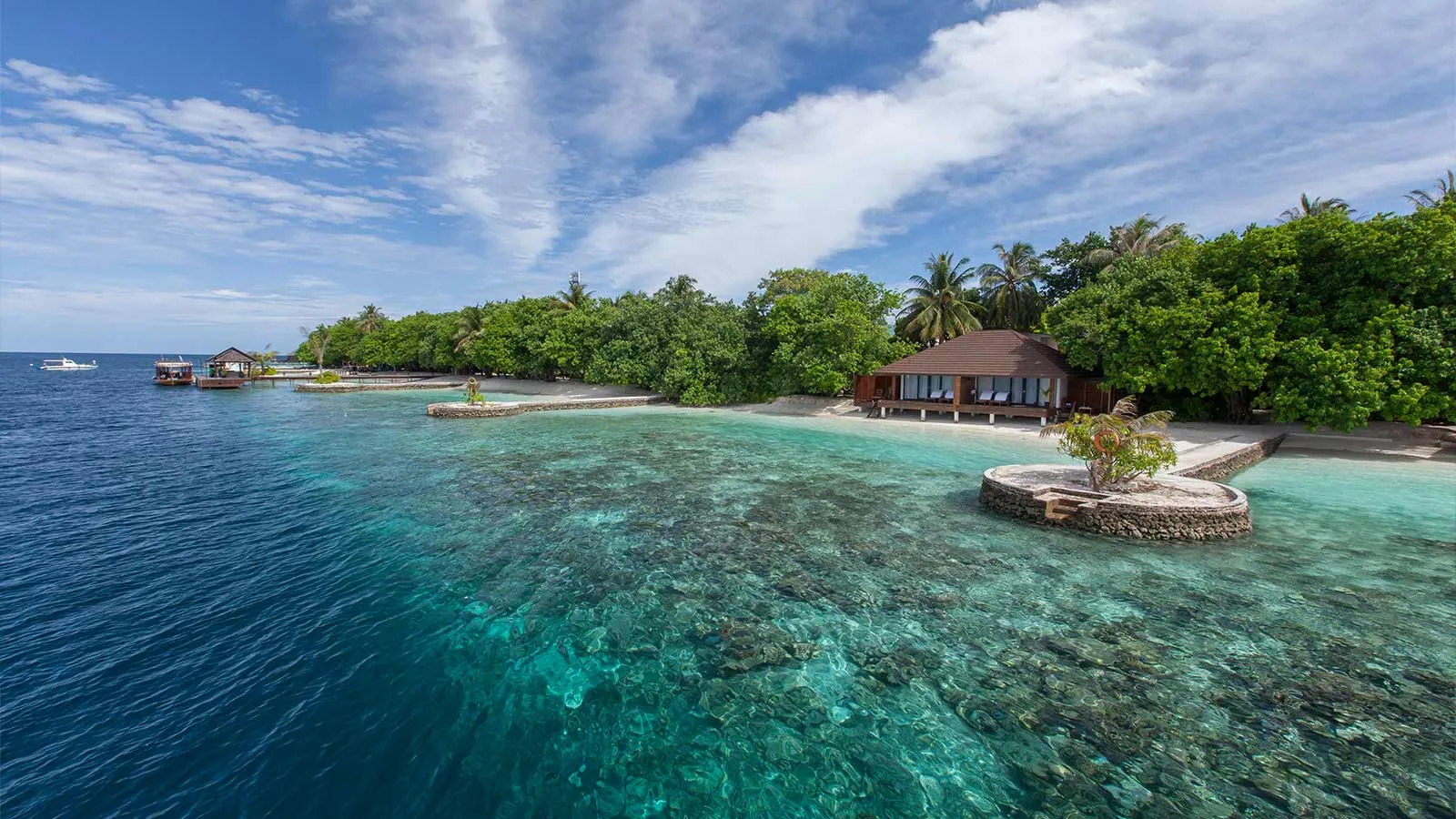 The island seen from the lagoon, its palms and a villa on the shore