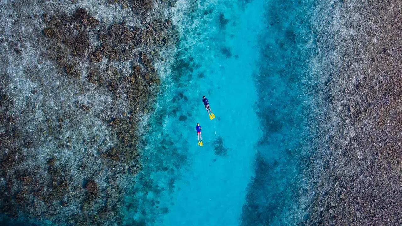 Two snorkellers on the edge of the Lily Beach reef, seen from above