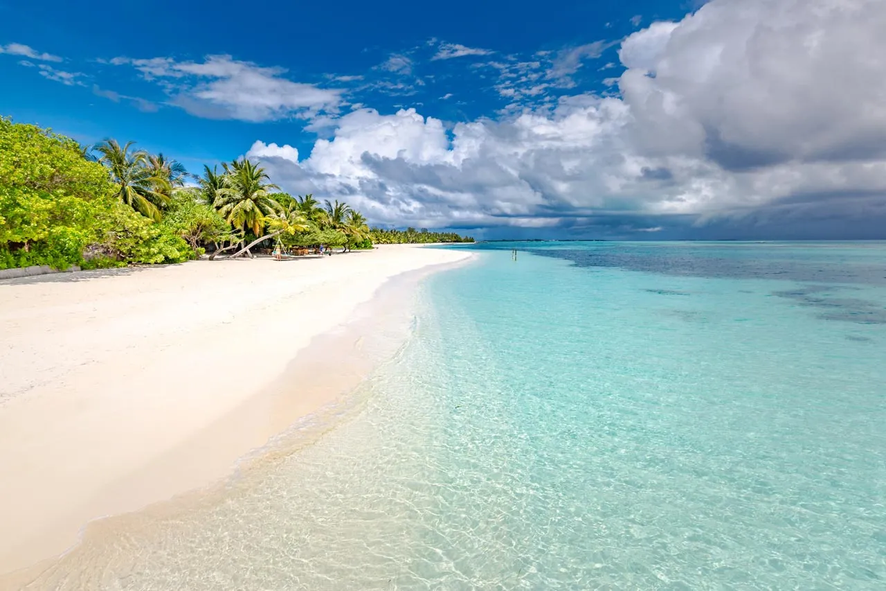 The island’s white beach, shallow water and palms