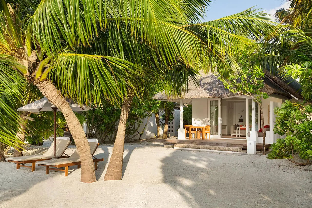 A Beach Pool Villa among palms, loungers on the sand