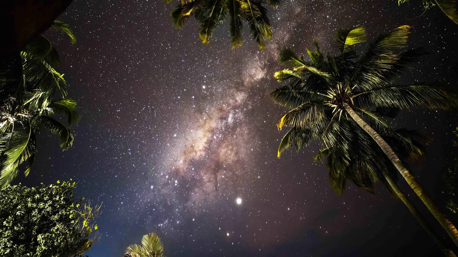The Milky Way above the island’s palms at night.