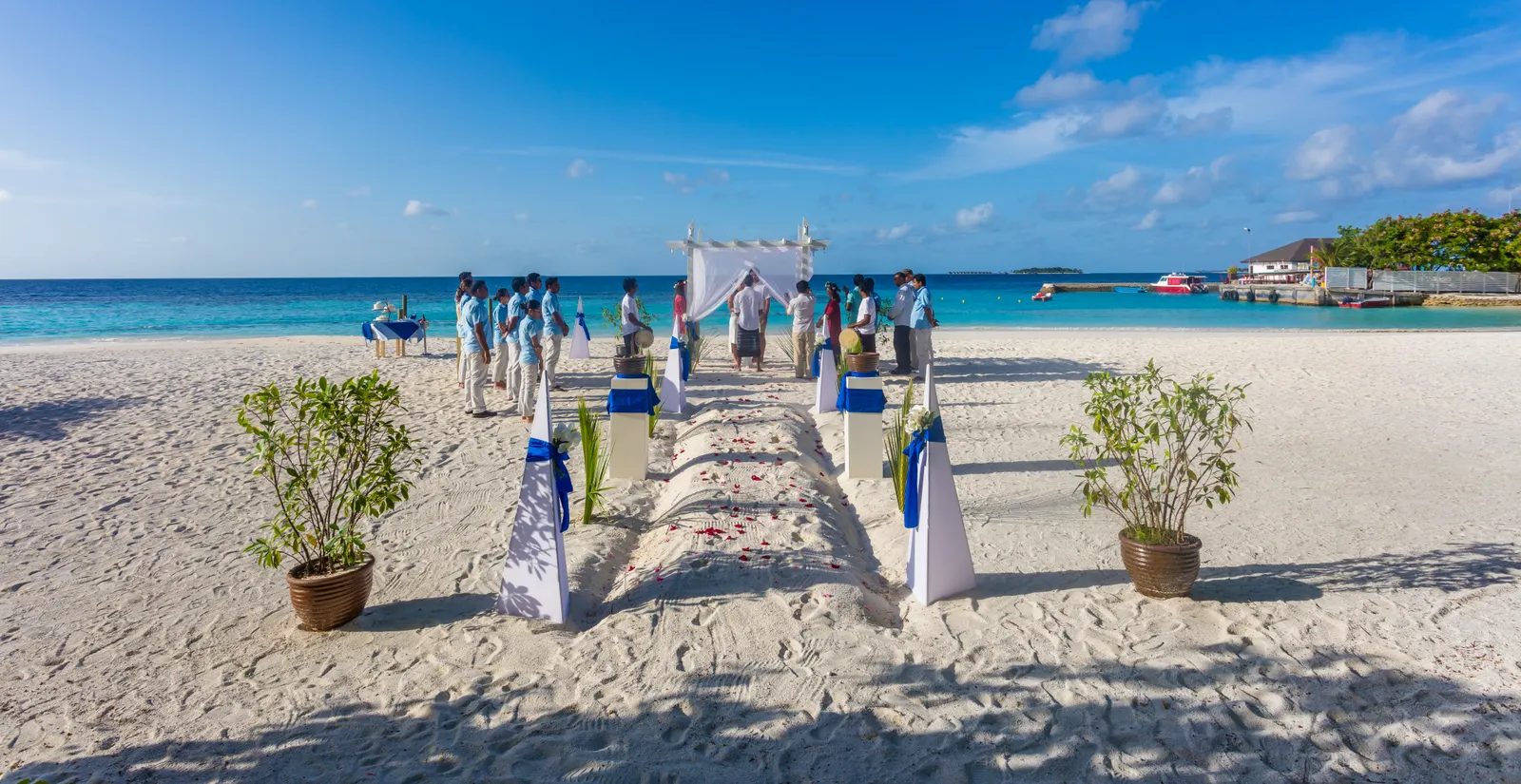 A ceremony on the beach: the sand aisle between potted plants, the white arch and the guests by the sea.