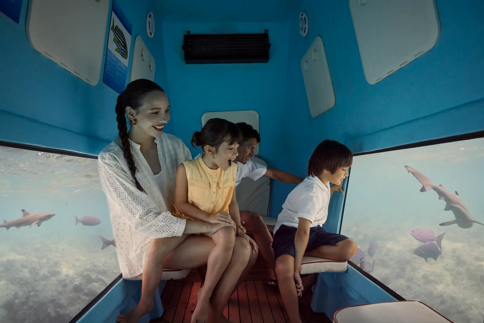 A mother and 3 children watch the reef’s sharks and fish through the semi-submarine’s windows.