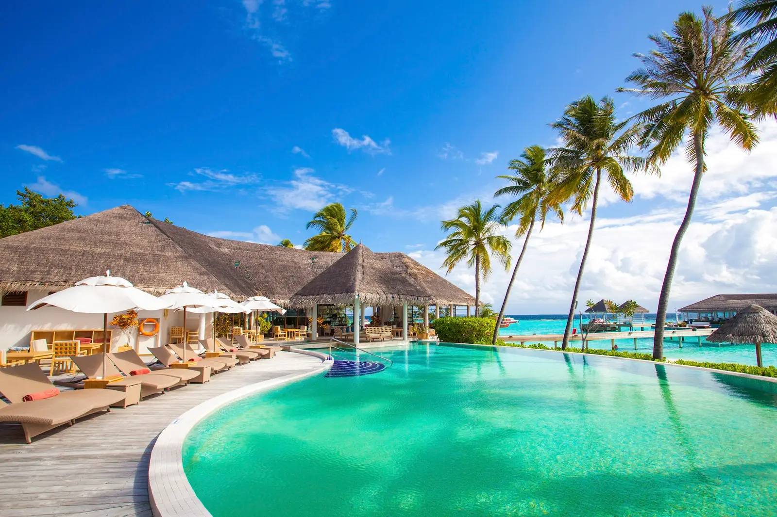 The Club pool, with its loungers and parasols under the thatched roof and the palms.