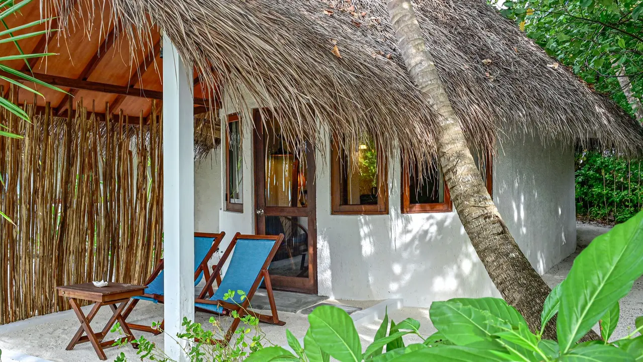 The veranda of a Deluxe Beach Bungalow under its thatched roof, 2 blue deckchairs among the palms.