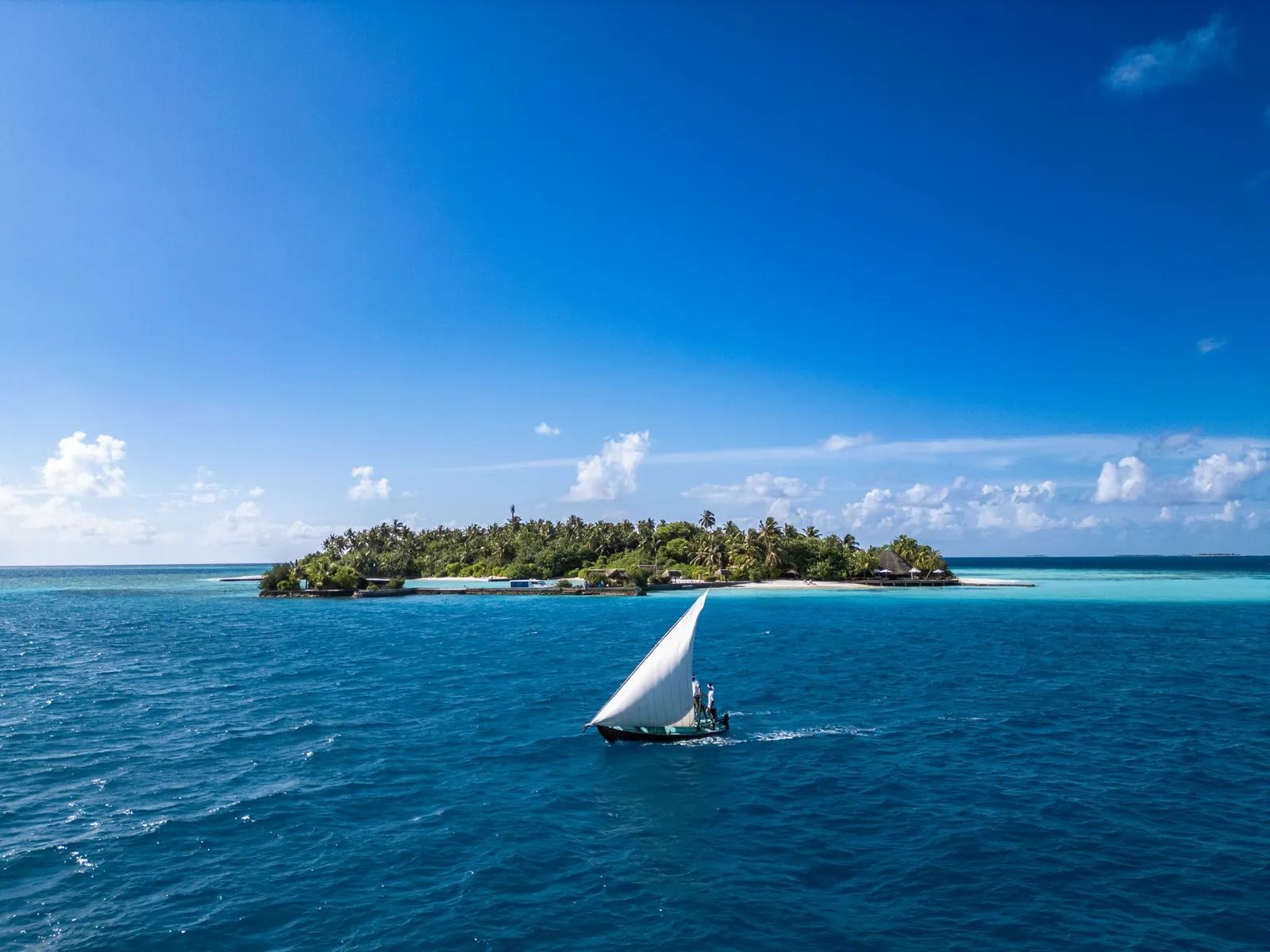 Makunudu seen from the open sea, thick with trees, a white-sailed dhoni in the foreground.