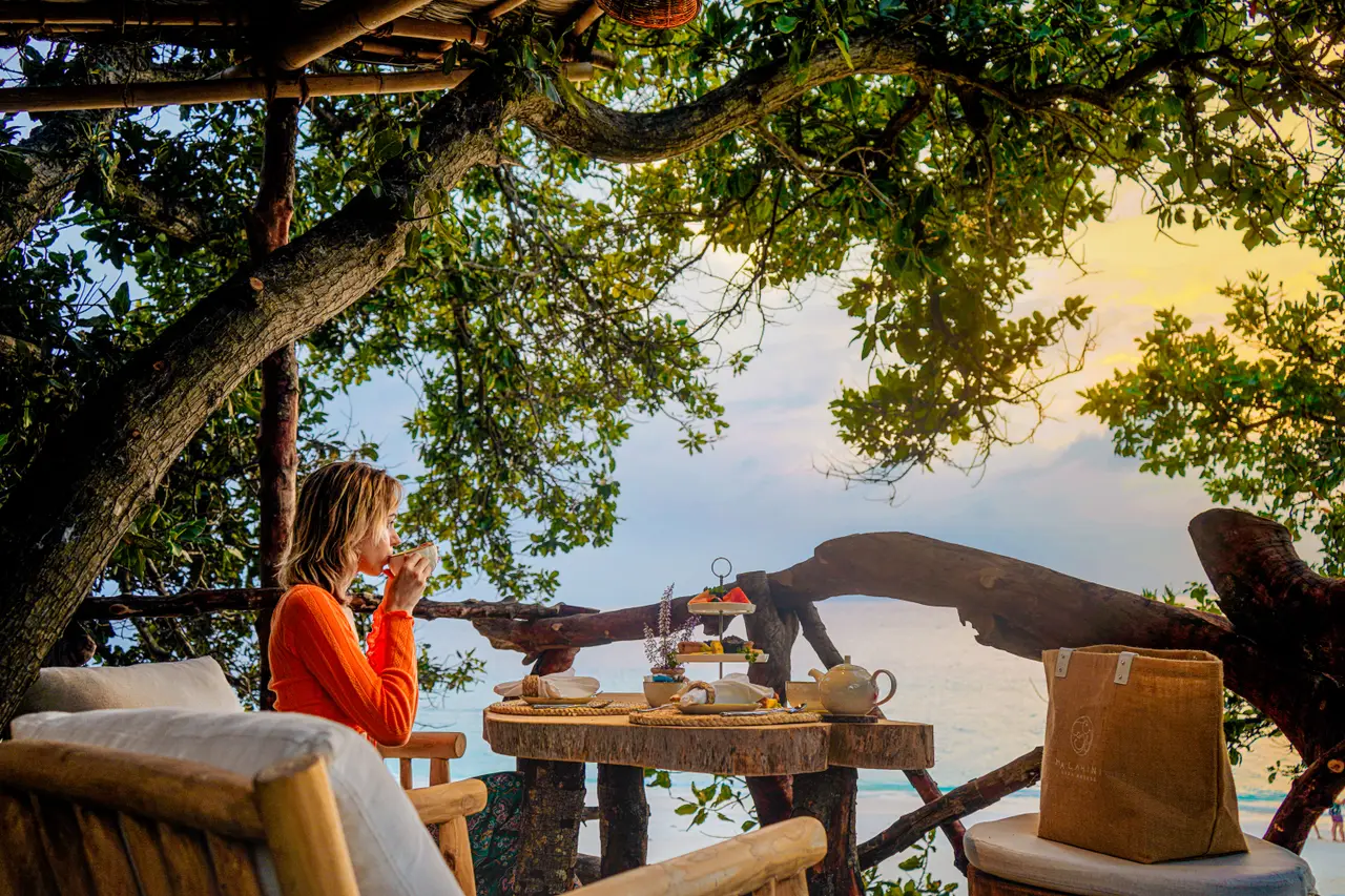 Afternoon tea at Thari among the branches of the tree, with the lagoon and the sunset sky beyond the leaves.