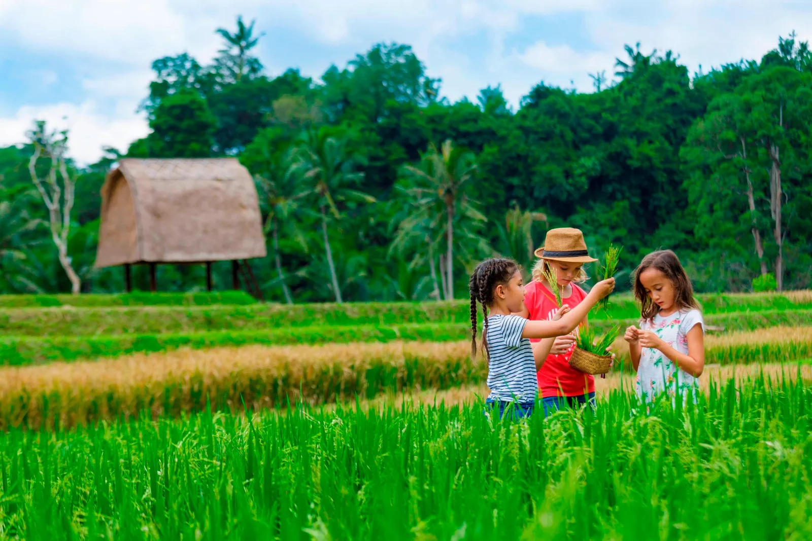 2 children and a woman among the resort’s rice paddies, a thatched barn behind