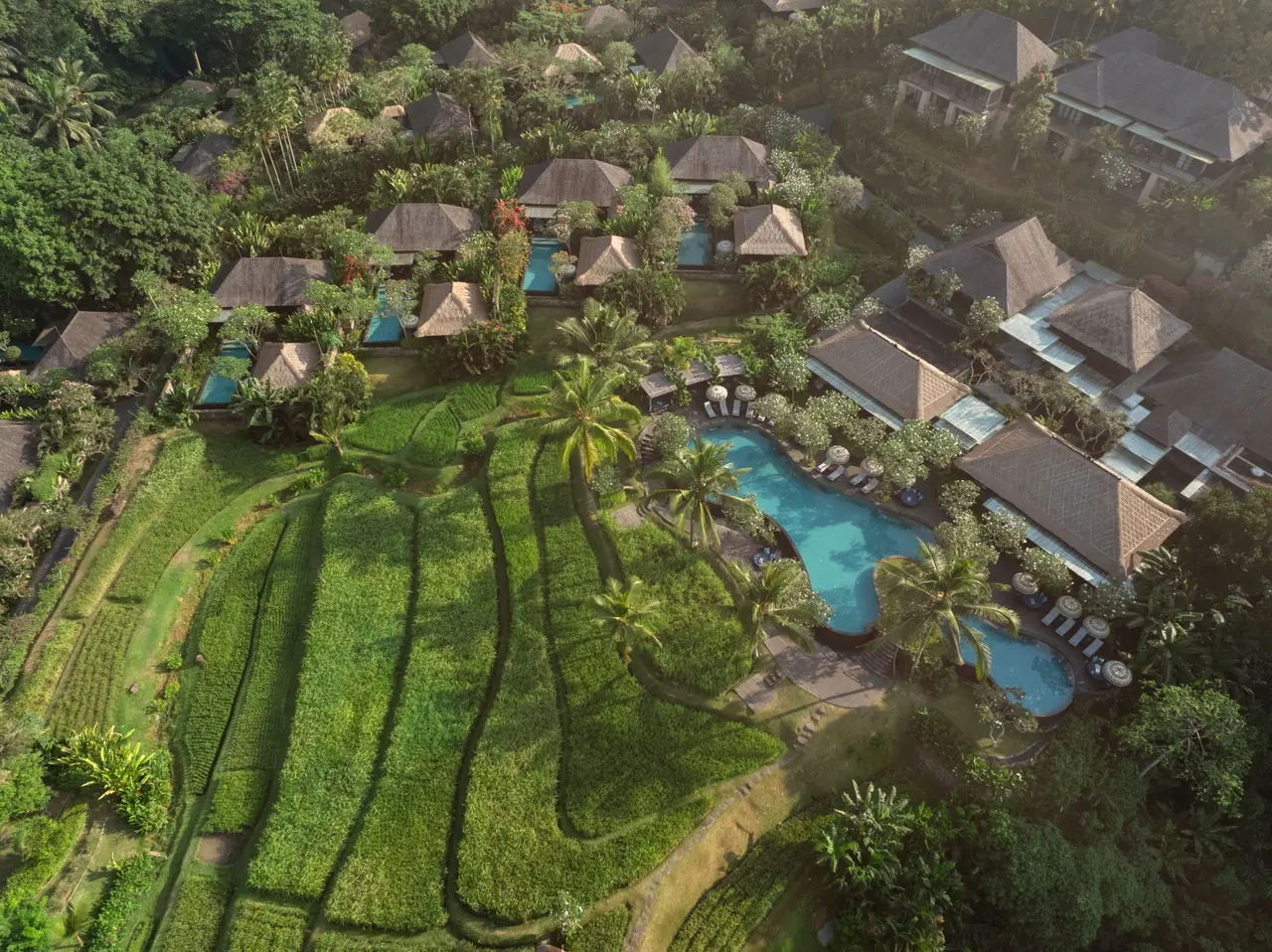 The resort from above: villas with pools among the rice terraces and the forest